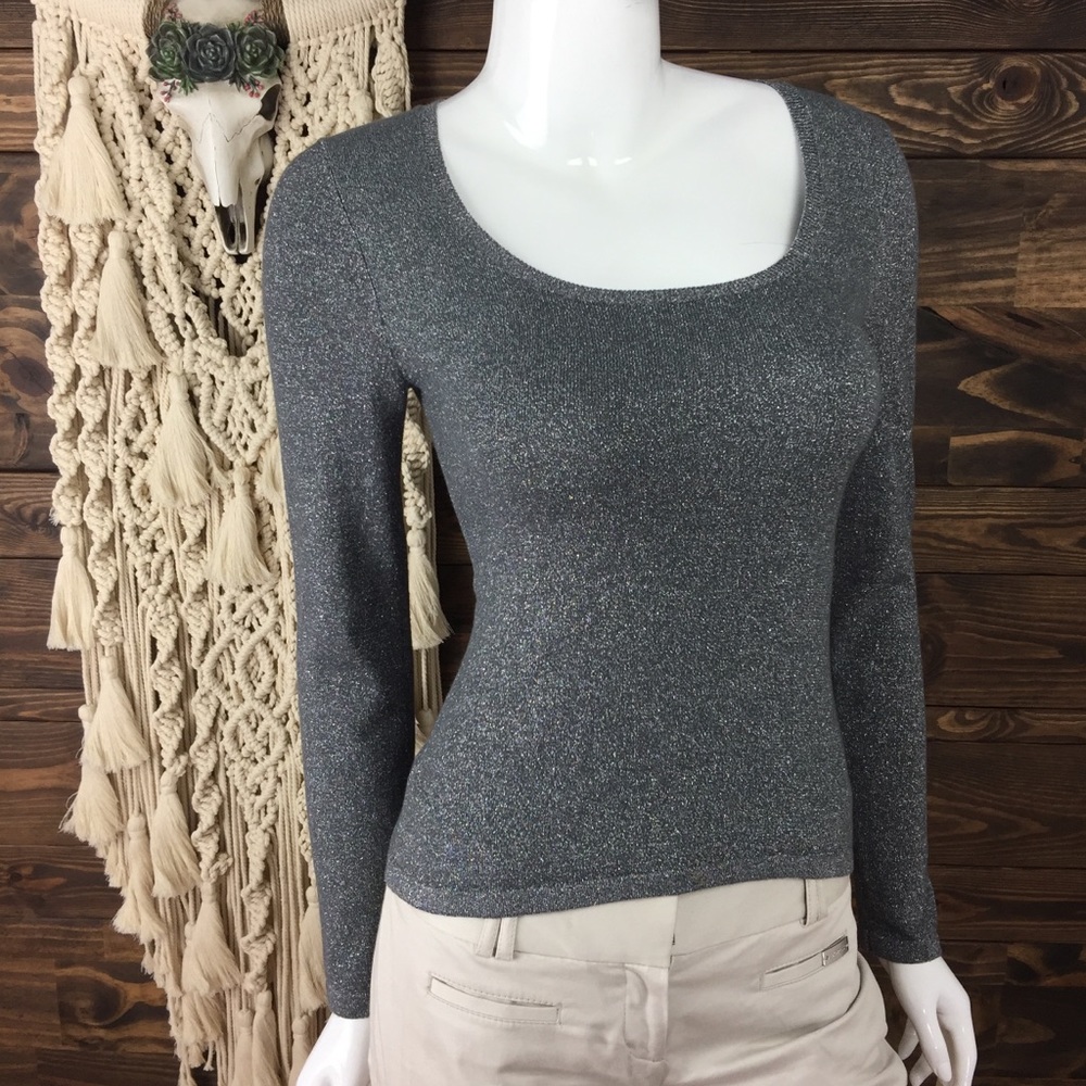 Ralph Lauren Gray Sparkle Sweatshirt